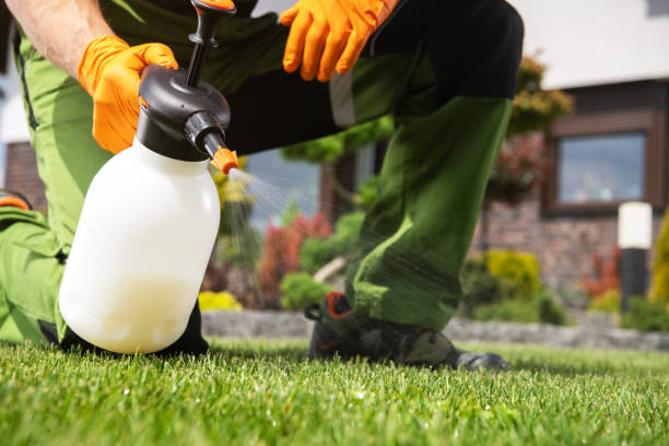 Best Best Pest Control Companies  in Elmore, OH